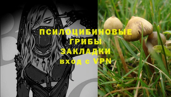стаф Горнозаводск