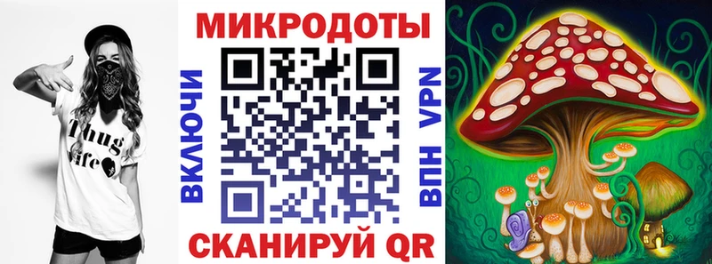 где купить наркоту  Домодедово  Галлюциногенные грибы Psilocybe 